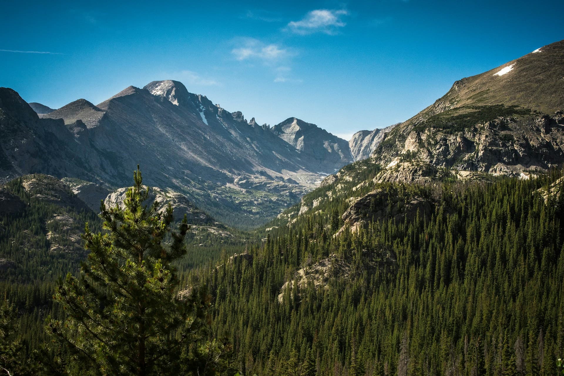 View of a serene mountain valley with towering peaks, dense evergreen forests, and a bright blue sky, conveying a sense of calm and natural beauty.